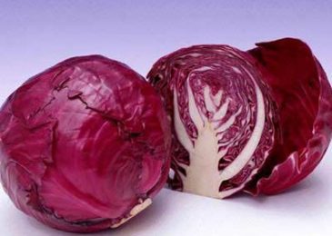 Top 5 thực phẩm nên ăn hàng ngày 3 bap cai do