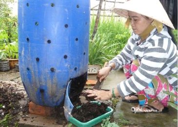Các bước tự làm phân hữu cơ tại nhà bằng rác nhà bếp 2 phan bon huu co 4 min