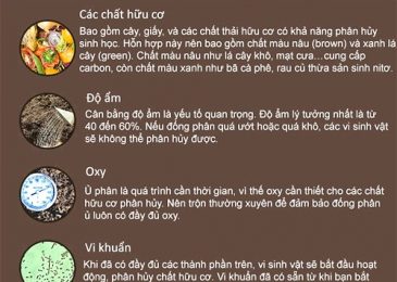Các bước tự làm phân hữu cơ tại nhà bằng rác nhà bếp 1 phan bon huu co 6 min