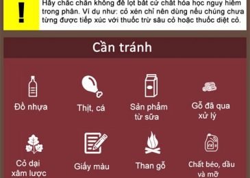 Các bước tự làm phân hữu cơ tại nhà bằng rác nhà bếp 6 phan bon huu co 7 min