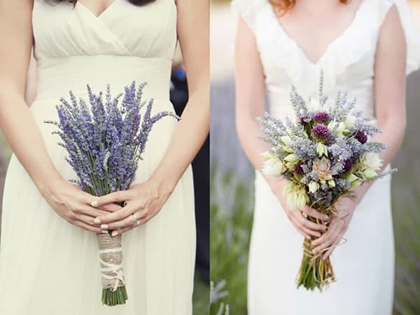 Cách trồng Hoa oải hương đẹp trong khu vườn xinh đẹp 21 bó hoa hoa hương lavender cầm tay