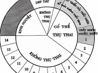 Vừa hết kinh quan hệ có thai không? 5 cach xac dinh ngay rung trung cho chu ki kinh nguyet khong deu 1