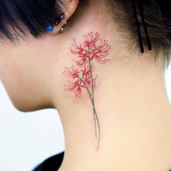 Hoa bỉ ngạn: Truyền thuyết và nguần gốc Loài hoa của cõi Phật 7 hoa bỉ ngạn