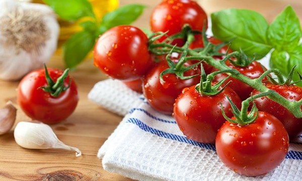 Cách trồng và chăm sóc Cà chua CHERRY anh đào F1 2 cà chua chín mọng nước