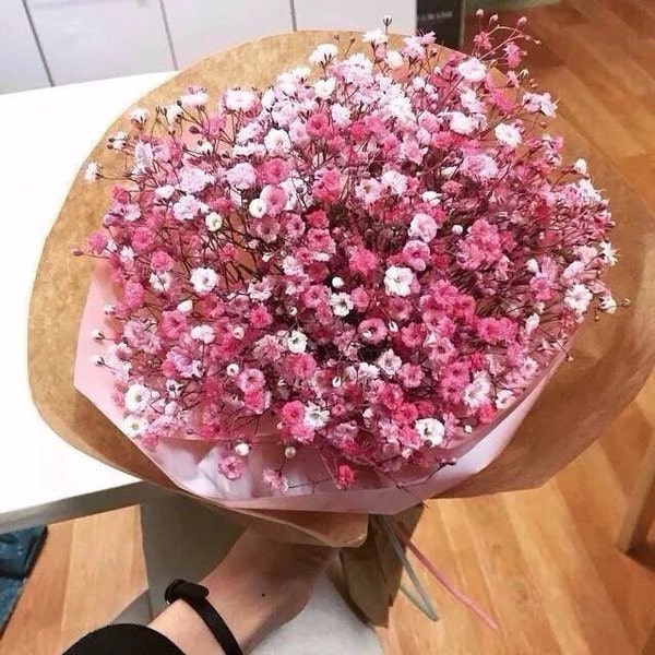 Ý nghĩa của hoa Baby- cách chăm sóc- hoa baby trắng tinh khôi 6 bó hoa hoa babay đẹp nhất