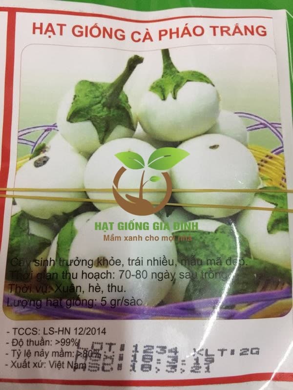Hạt giống cà pháo trắng 1 Hạt giống cà pháo trắng
