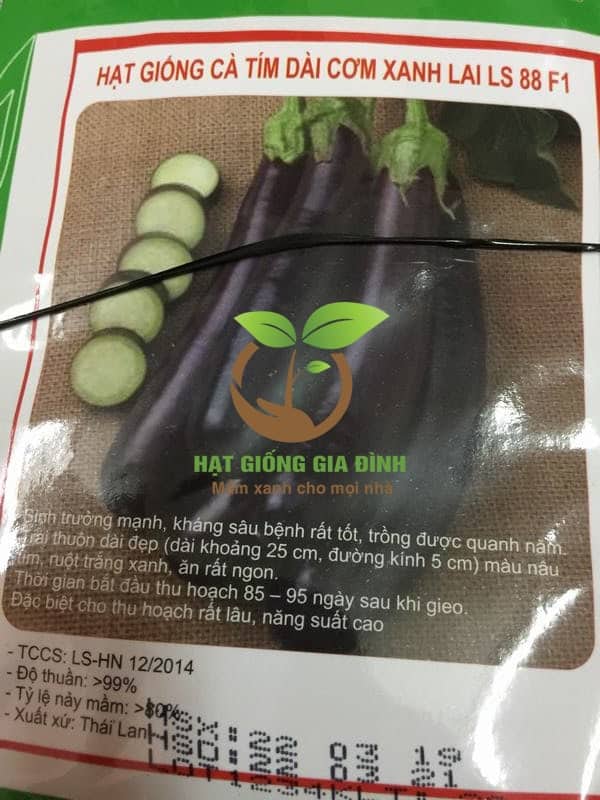Hạt giống cà tím quả dài ruột xanh 1 Hạt giống cà tím quả dài ruột xanh