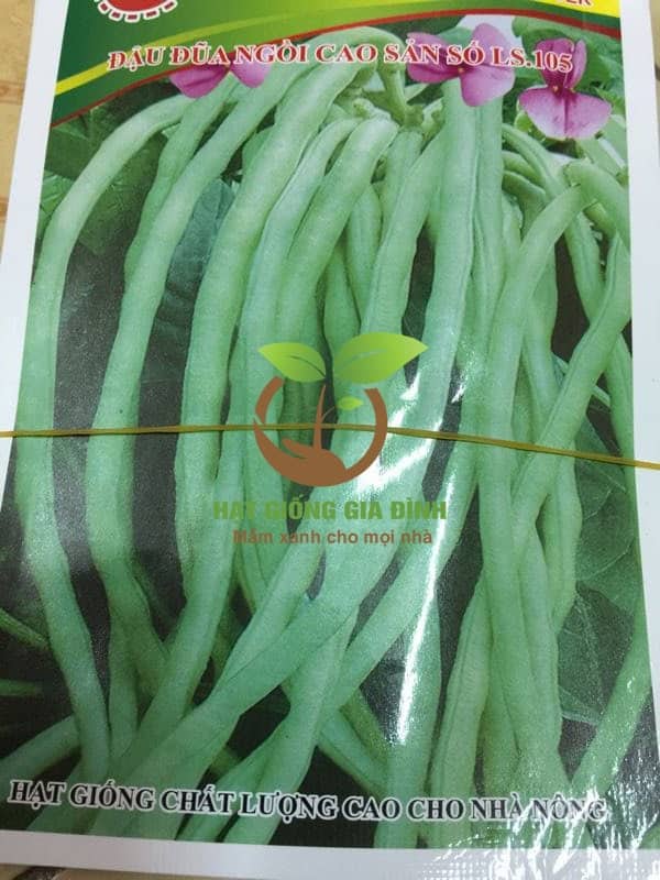Địa chỉ mua hạt giống rau sạch ở hà nội giá hợp lý nhất 2 Địa chỉ mua hạt giống rau sạch ở hà nội giá hợp lý nhất