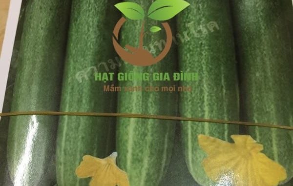 dua-chuot-lai-g7