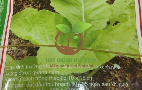 rau-cai-mo-lun