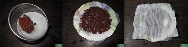 Cách trồng rau mầm trên giấy ăn cho năng xuất cao 3 Sau đây là cách trồng rau mầm bằng giấy ăn tại nhà