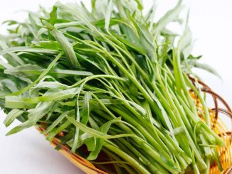 Mùa vụ trồng rau muống miền bắc 9 rau 10 min