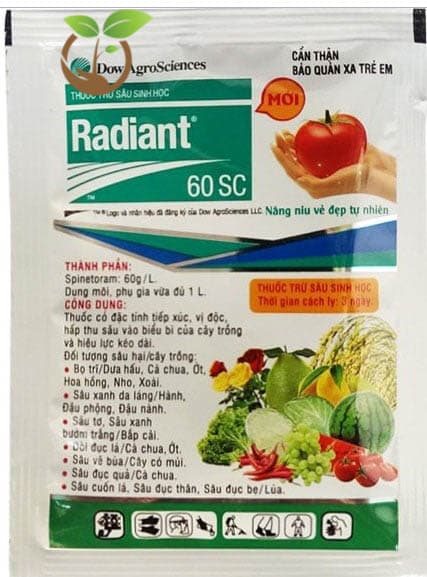 Bệnh đốm lá trên cây hoa hồng và cách phòng bệnh 2 Thuốc trừ sâu sinh học Radiant 60SC