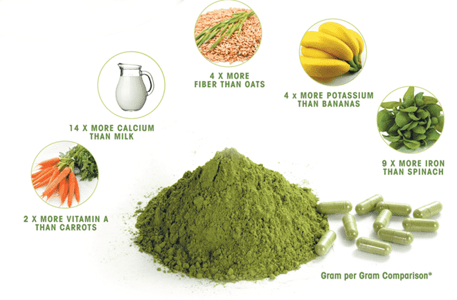 cây chùm ngây là gì? tác dụng chữa nhiều bệnh của cây 9 Cây Chùm ngây Hỗ trợ điều trị rối loạn dạ dày