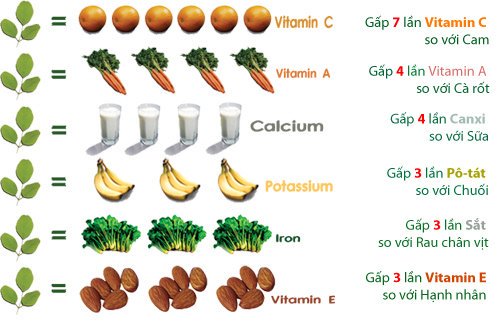 cây chùm ngây là gì? tác dụng chữa nhiều bệnh của cây 11 Tác dụng của cây chùm ngây với trẻ em