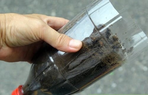 Cách trồng rau sạch bằng vỏ chai nhựa 5 Đổ đầy đất dinh dưỡng đã chuẩn bị sẵn vào chai, lưu ý nhớ đậy nắp ở chai dưới cùng