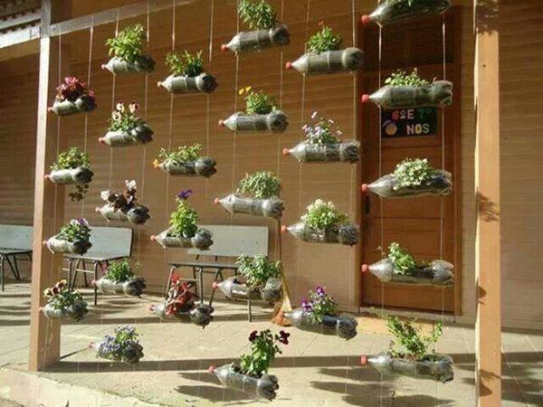 Cách trồng rau sạch bằng vỏ chai nhựa 1 Cách trồng rau sạch bằng vỏ chai nhựa