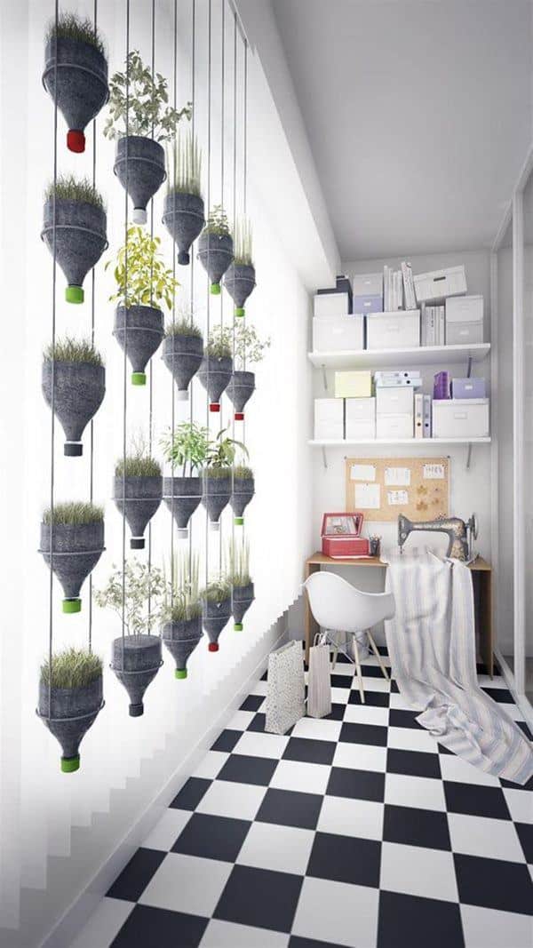 Cách trồng rau sạch bằng vỏ chai nhựa 25 sự thay đổi mới lạ từ chai nhựa đối với không gian sống