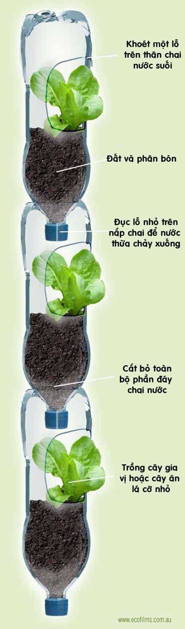 Cách trồng rau sạch bằng vỏ chai nhựa 20 cải tiến cách trồng rau từ chai nhựa