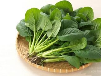 Cây rau chân vịt 1 cay rau chan vit 6 min