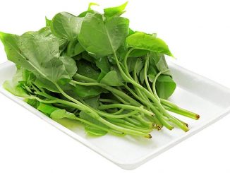 Cách trồng rau lang ăn lá với ngọn cả cả năm 1 rau lang 5