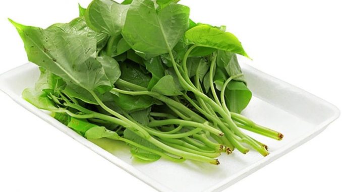 rau-lang-5
